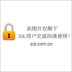 鲸启示剧照1